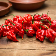 Oaksteak Offensively Hot BBQ Sauce - 12 oz